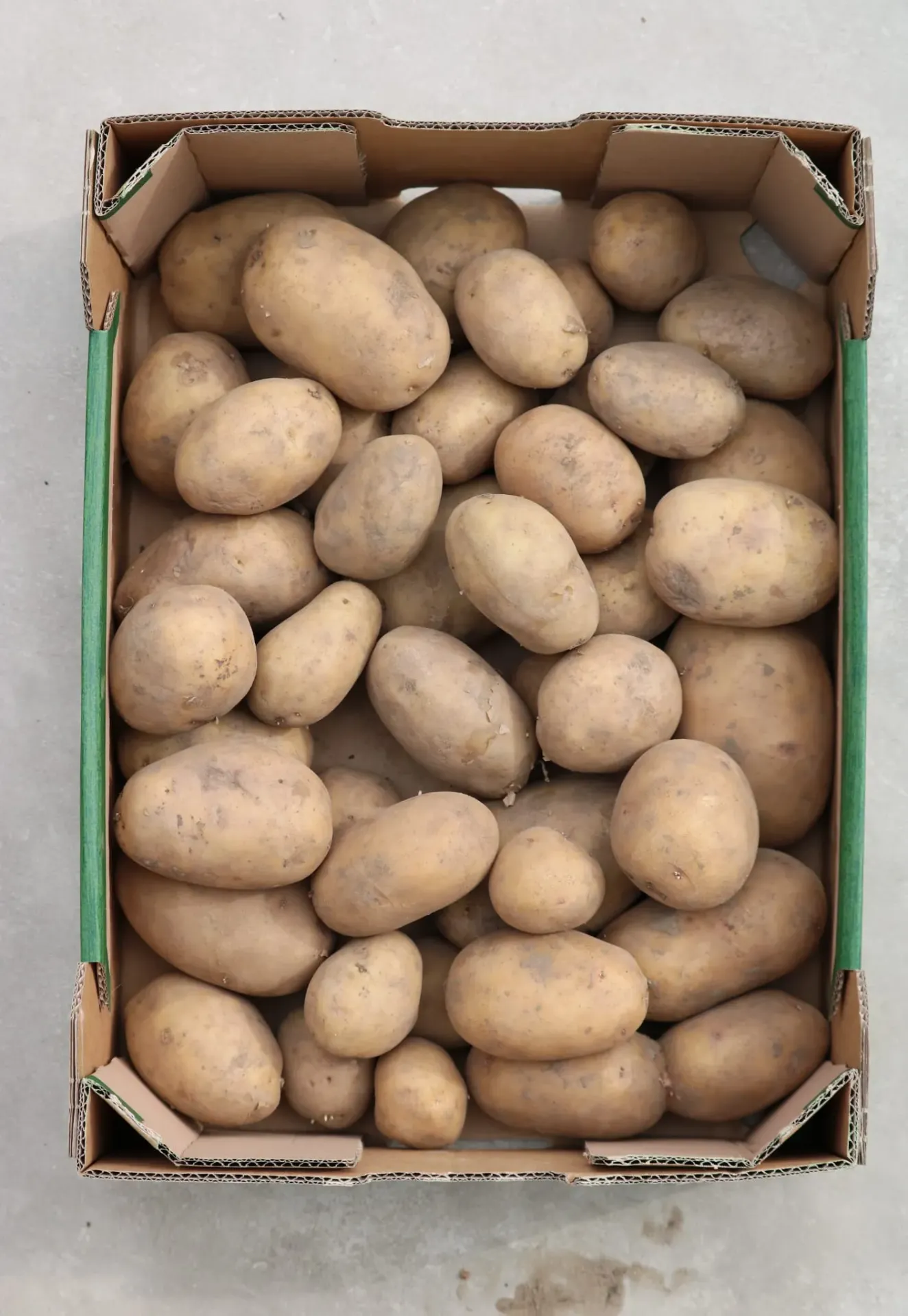 Vitabella biologisch geteeld (5 kilogram)